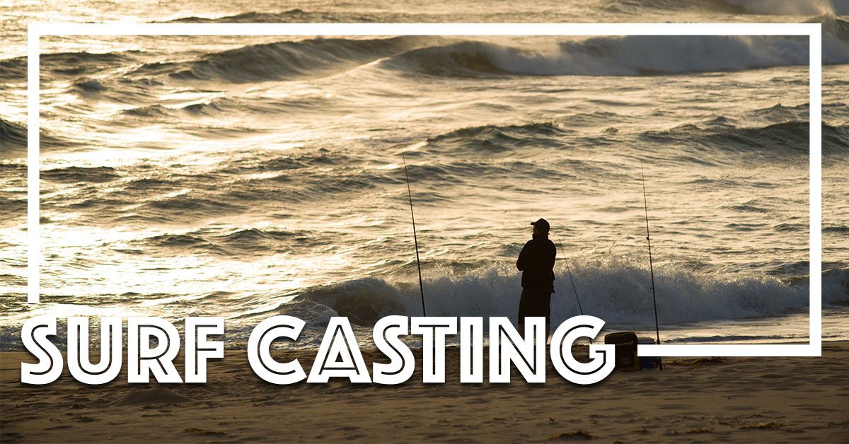 Surf Casting